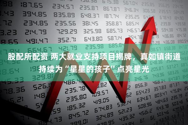 股配所配资 两大就业支持项目揭牌，真如镇街道持续为“星星的孩子”点亮星光